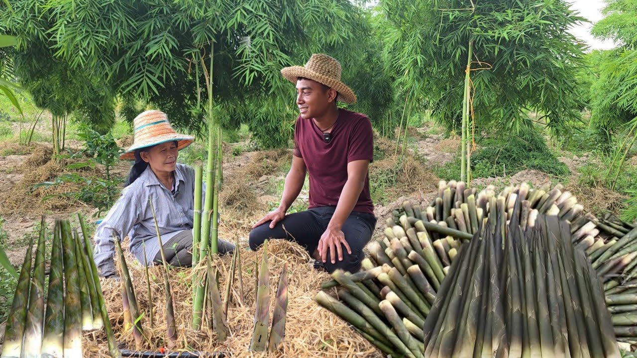 ปลูกไผ่ 1 ไร่สร้างรายได้ไม่น้อย!! วันละ 400-500 ไม่เคยขาด (มีรายได้ทุกวัน)