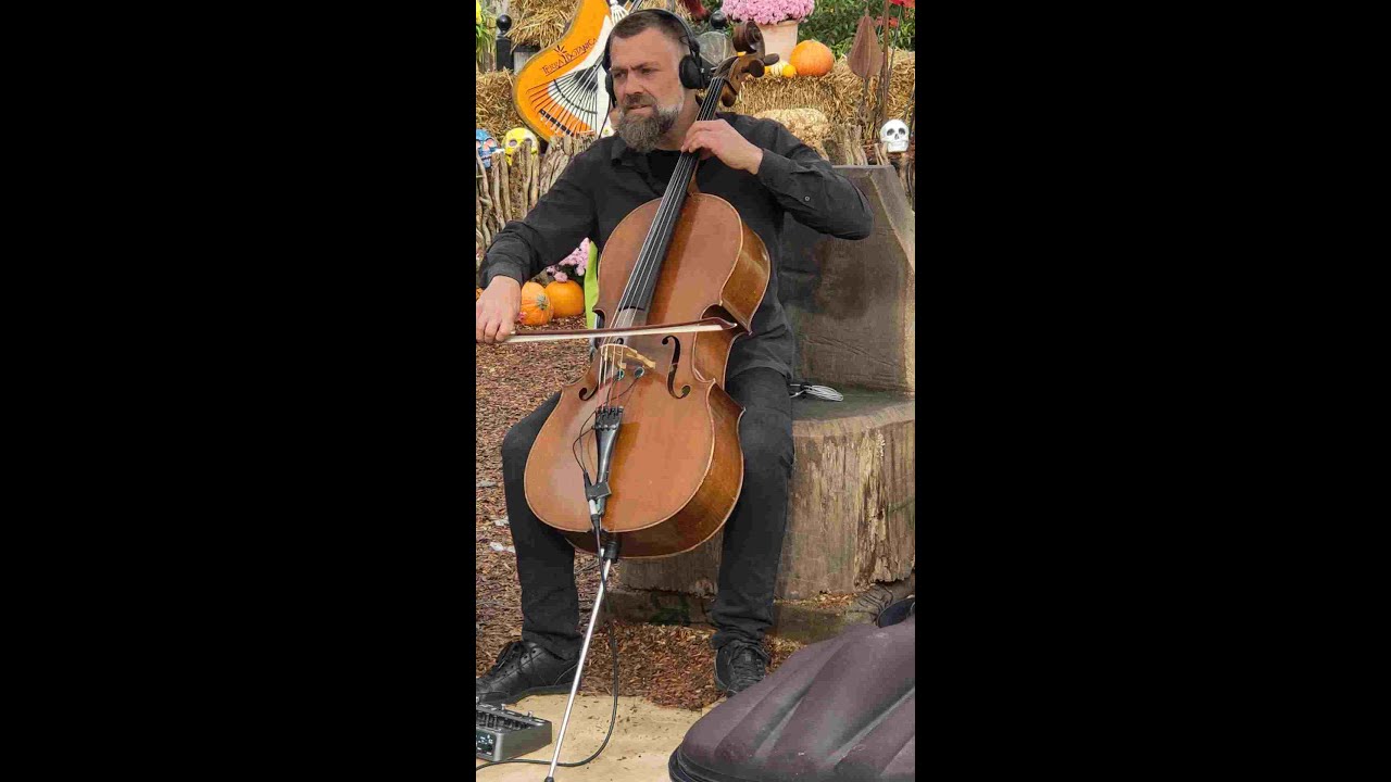 YOU TUBE SHORT DR CELLO AT TERRA BOTANICA