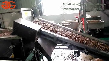 Automatic Broad Bean Fryer Machine Price