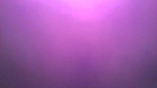 WP 20141009 007