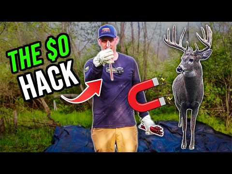 The Low Cost/No Cost Habitat Hack to Hold More Deer