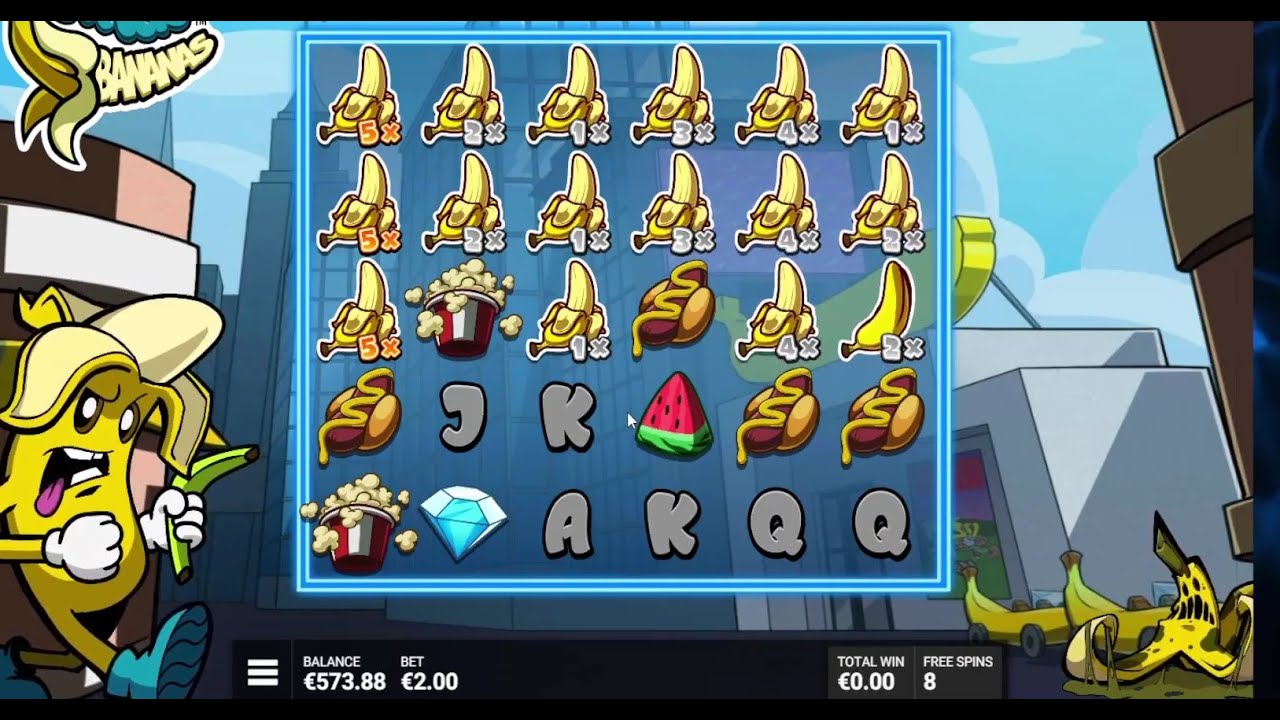 Казино Сесия  -  Търсим МакСи