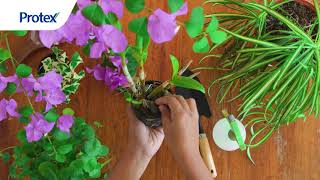 Protex IMC 30Sec TVC