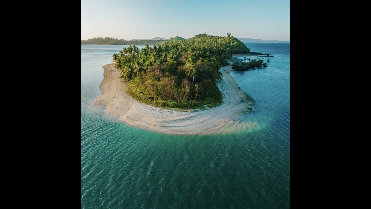 [FREE] Reggaeton x Guitar Type Beat 2026- Deep Rain Forest