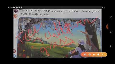 Class I  Computer 04 07 2020 by Ms Poonam  Singh