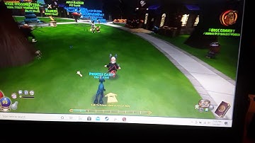 Love this wizard101 glitch