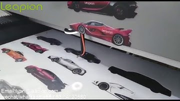 Leapion 1325 CO2 laser machine with CCD camera working video