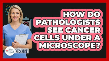 How Do Pathologists See Cancer Cells Under A Microscope? - Nursing Knowledge Exchange