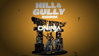 Shaneil Muir - Gi Gyal Money (D Ninja Edit) | Dancehall 2026