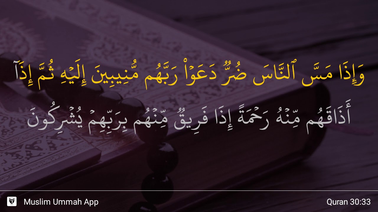 Surah Ar Rum Ayat 33 41 Surah Ar Rum Ayat 33 41