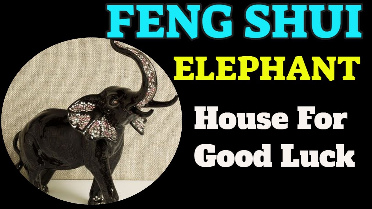 Feng Shui Elephant Direction - Feng Shui Elephant Trunk Direction- Feng Shui   Elephant