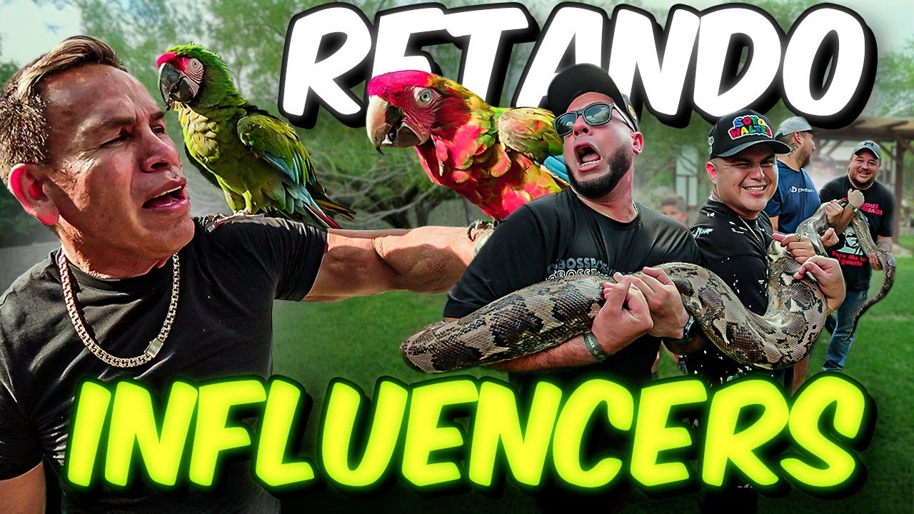 Konan Big Domando Leones con los Youtubers 🦁🔥 | El Reto Más Salvaje