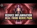 174 Hz Vibrations : Heal From Nerve Pain, Reduce Inflammation, And Alleviate All Body Fatigue