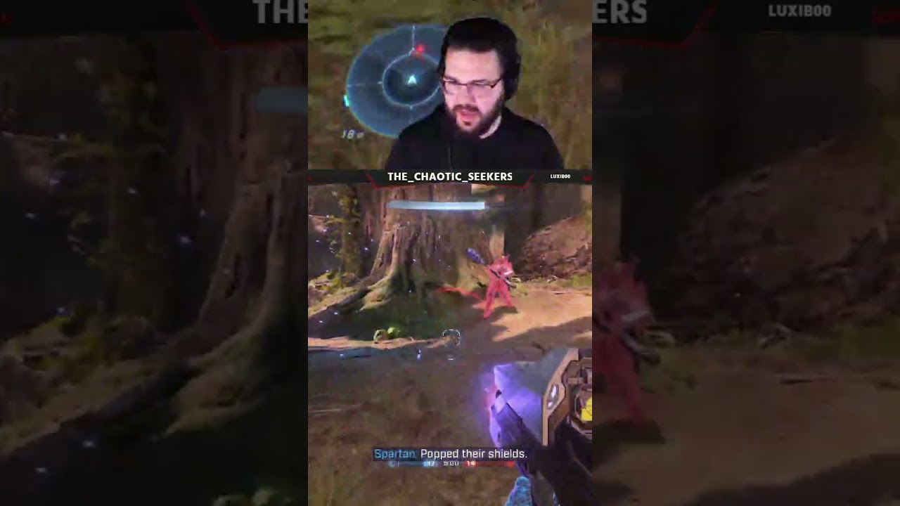 Owl predicted the future!