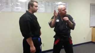 Simple Motions - The Downward Parry Heel Palm