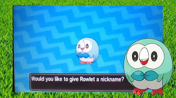 Live Shiny Rowlet via Masuda Method!