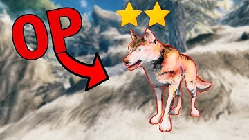 How to Find, Tame and Breed a 2 Star Wolf Easy Valheim - Ultimate Wolf Guide - Best Defense