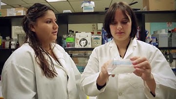 K-INBRE Student Profile: Kristina Bigelow, Kansas State University