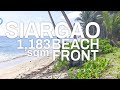 1,182 sqm Beach Front for Sale in Siagao Island