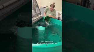 Celebrating CTE Month with Fisheries