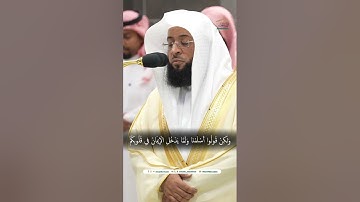 تلاوة مباركة طيبة  -  سورة الحجرات بصوت الشيخ بدر التركي 😴♥️♥️.