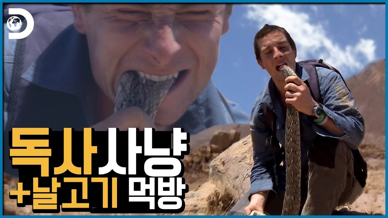 ⁣살상력 최강 뱀을 씹고뜯고맛보고즐기는 베어그릴스 [Man vs Wild]