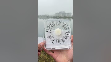 4 Lý Do Lưỡi Câu Cá Mè Cá Chép NỔI Là Lựa Chọn TỐT NHẤT Cho Người Câu Cá Năm 2025? #fishing #shorts