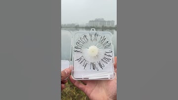 4 Lý Do Lưỡi Câu Cá Mè Cá Chép NỔI Là Lựa Chọn TỐT NHẤT Cho Người Câu Cá Năm 2025? #fishing #shorts