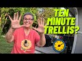 How to Build a Tomato Trellis, Faster - Even with a Swap