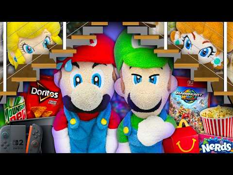 The Secret Gaming Room! - Paper Mario Bros