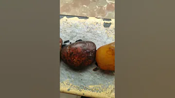 مجموعة من الاحجار الكريمه للبيع 
