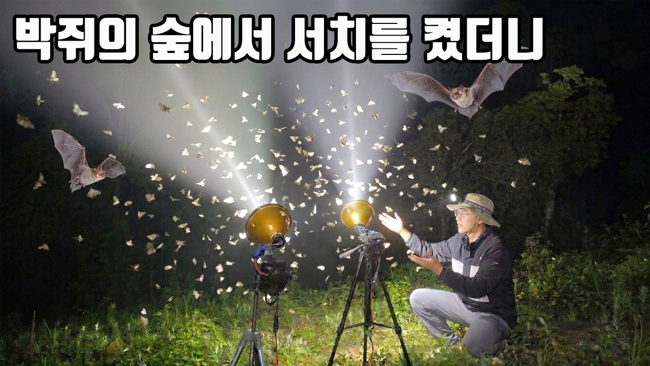 박쥐가 바글바글한 오지에서 서치라이트를 켰더니 이런결과가...