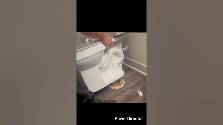 Toddlers toy clogged toilet