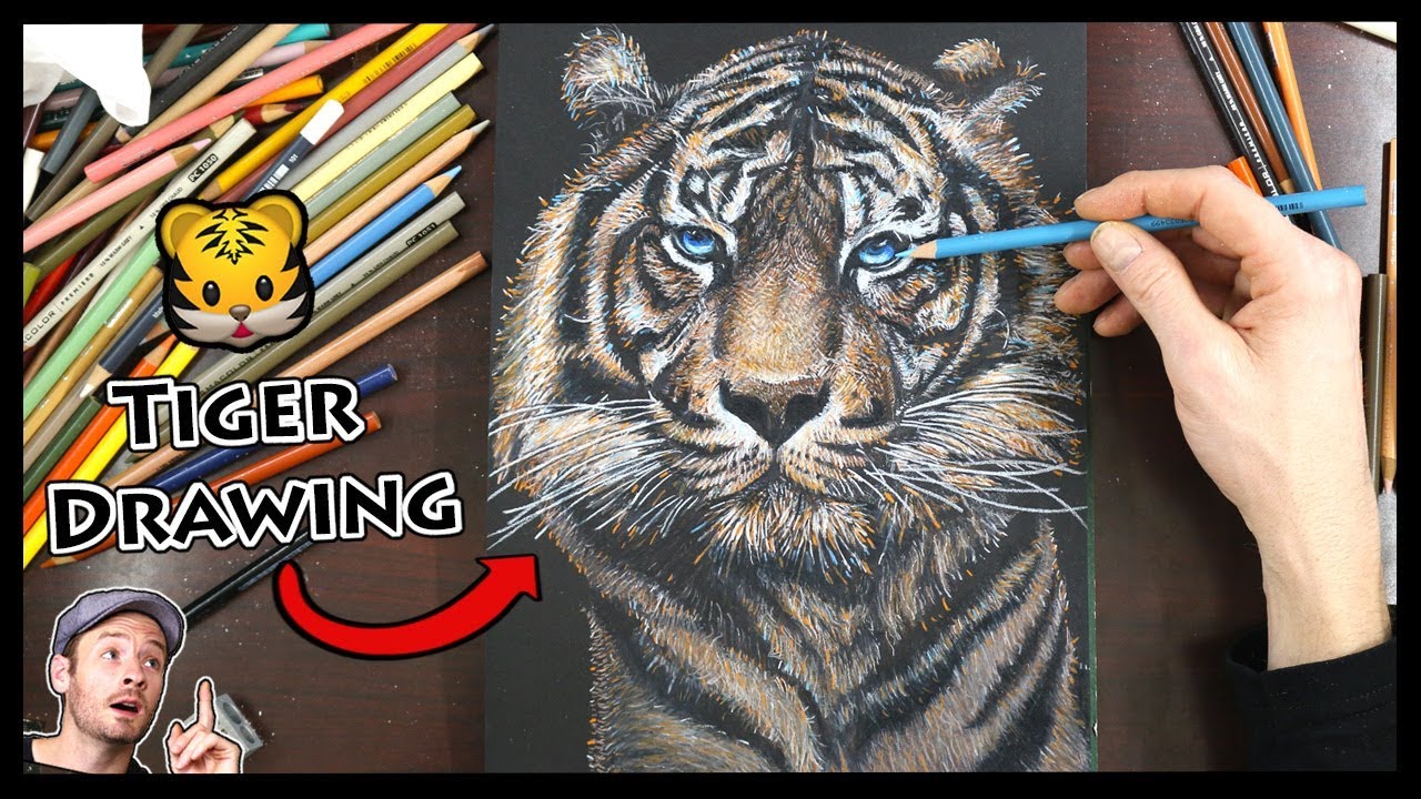 Drawing a REALISTIC TIGER - 25 Hour Timelapse - YouTube