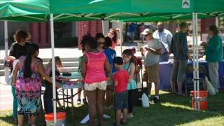 New Rochelle Downtown Bid Farmers Market July 5 2014