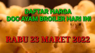 Harga Ayam Broiler Rabu 10 Agustus 2022. 