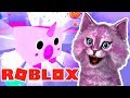 ЕДИНОРОГ и МНОГО СУНДУКОВ В СИМУЛЯТОРЕ ПИТОМЦА В РОБЛОКС! roblox pet simulator