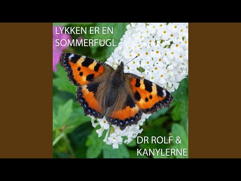 Video: Hvorfor Er Sommerfugleeffekten Farlig? - Alternativ Visning