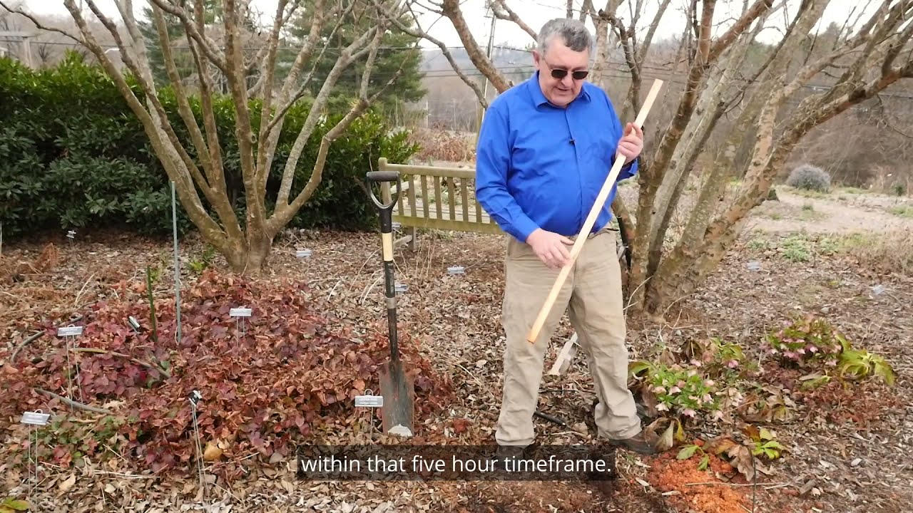 Perc Test: The Lesser Used Soil Test