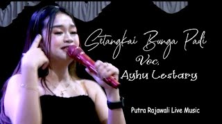 SETANGKAI BUNGA PADI COVER ( AYU LESTARY ) LIVE MUSIK ( PUTRA RAJAWALI ) KOTA PONTIANAK