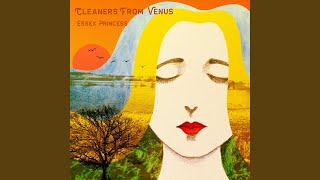 Video thumbnail of "The Cleaners From Venus - The Essex Princess"