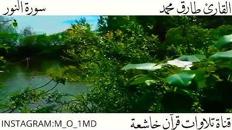الله نور السماوات والأرض ||تلاوه خاشعه  للقارئ طارق محمد