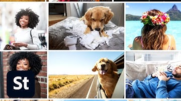 Quick Class 10 of 10 | Customize Your Stock Portfolio and Create a Collection | Adobe Creative Cloud