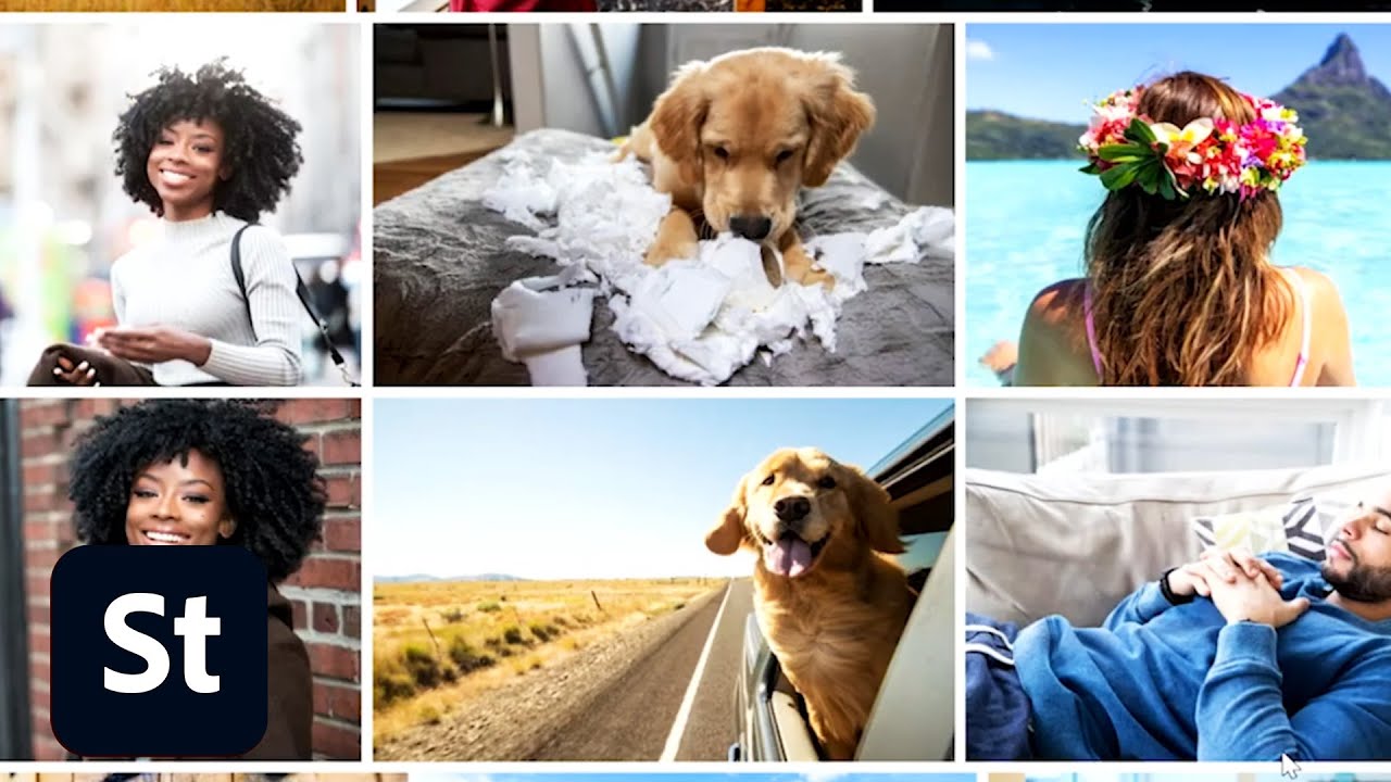 Quick Class 10 of 10 | Customize Your Stock Portfolio and Create a Collection | Adobe Creative Cloud