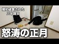 年明けから激務すぎて力尽きた。だがしかし正月なら酒は飲む。＃ぼっち飲み　＃酒飲み女