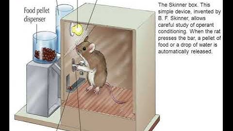 OPERANT CONDITIONING