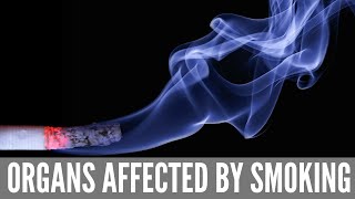 9 Body parts you can damage by smoking