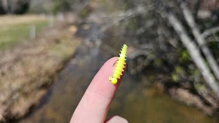 11 Minutes of Uncut Trout Fishing Action!