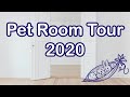 Pet Room Tour (2020) - All New Enclosures
