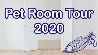 Pet Room Tour (2020) - All New Enclosures